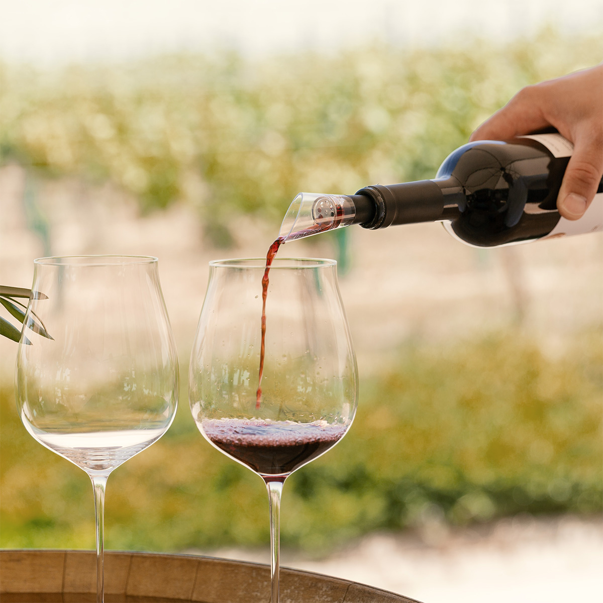 Dekantirni lijak za vino | Lunasol