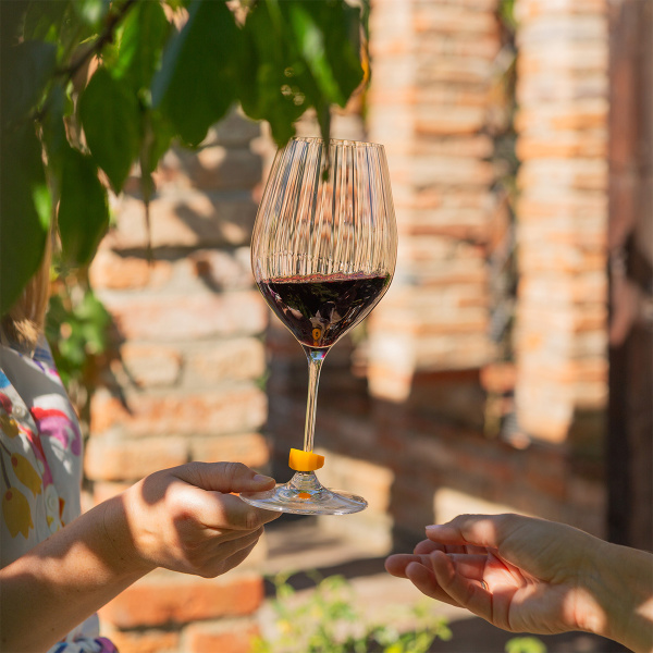 Zamašek za vino in 8 označevalcev kozarcev | Lunasol