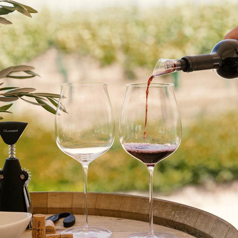 Kozarci za Cabernet / Alibernet 650 ml set 2 kos - FLOW Glas Platinum Line