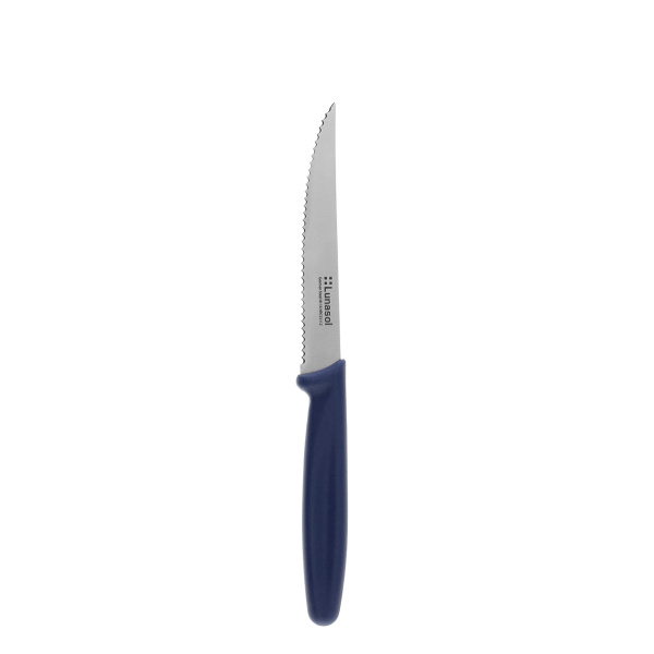 Nož za zrezke 11,2 cm | Master Blue