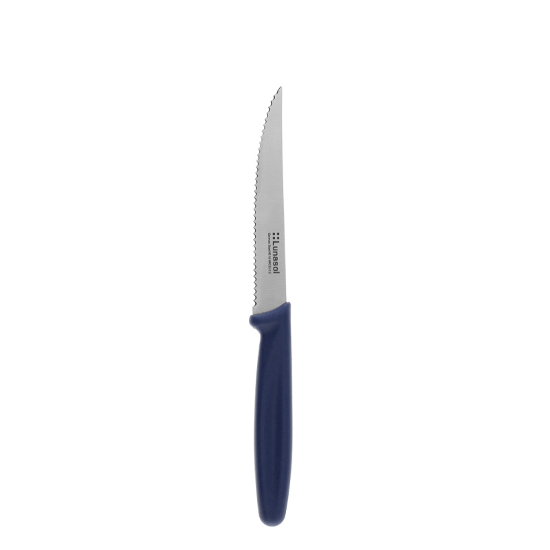 Nož za zrezke 11,2 cm | Master Blue