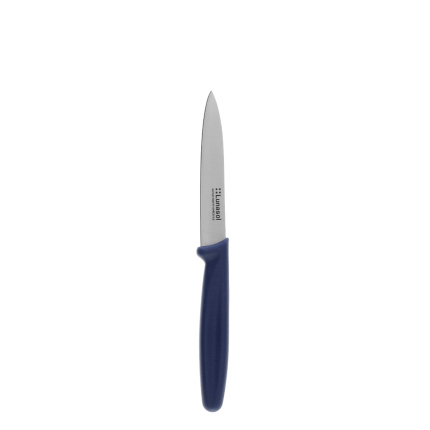 Kuhinjski nož 10,2 cm brez nazobčanja | Master Blue